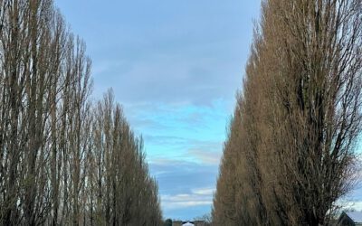 Führung in der KZ-Gedenkstätte Dachau